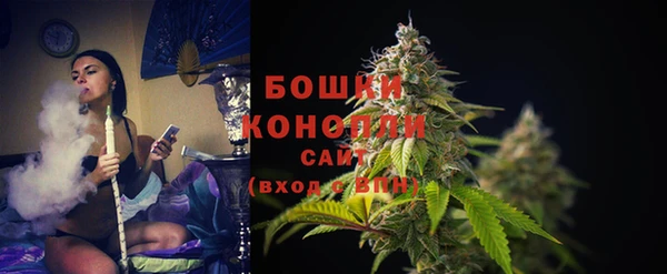 apvp Богданович