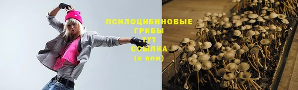 apvp Богданович