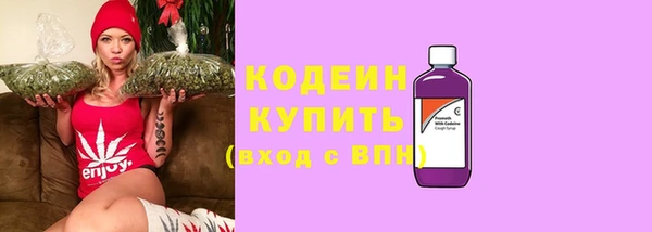 apvp Богданович
