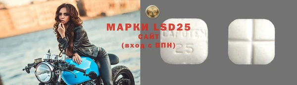 apvp Богданович