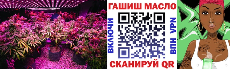 ТГК вейп  блэк спрут сайт  Старица 